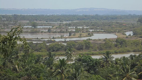 Aerial view of Khazan seen in Zuari river
