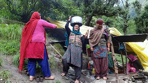 Himachal women protest Holi-Bajoli hydel plant