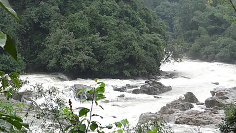 River Netravathi (Source: SANDRP)