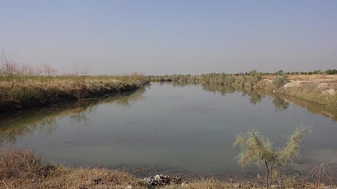 Around 15 lakes helped deal with soil salinity