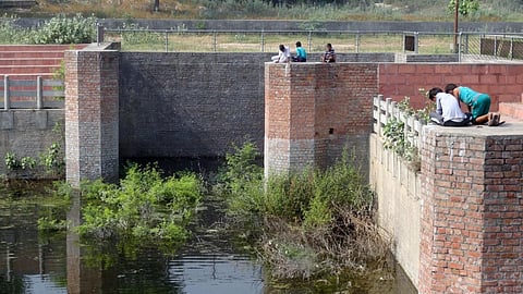 Children look for water snakes in the pond