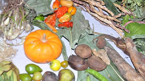 Forests, water & seeds are all interconnected (Source: India Water Portal)