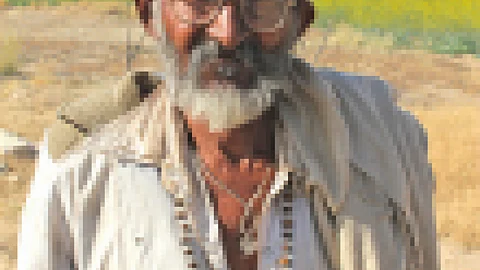 The case of the disappearing farmers
