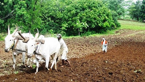 Farmers, stuck in the midst of a crisis (Source: India Water Portal)