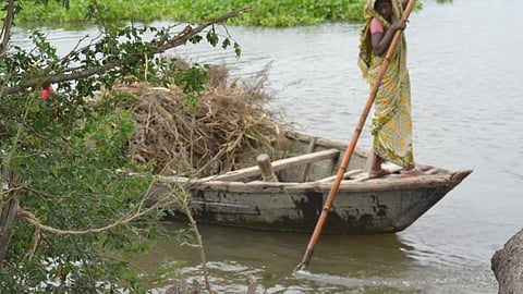 Floods in Bihar (Source: Usha Dewani, IWP)