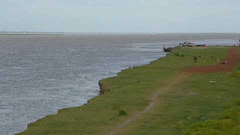 The lower Ganga, just upstream of Farakka, displays bank-cutting and erosion.