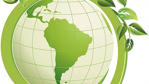 Sustainable living Source: Mercer Island Pulse
