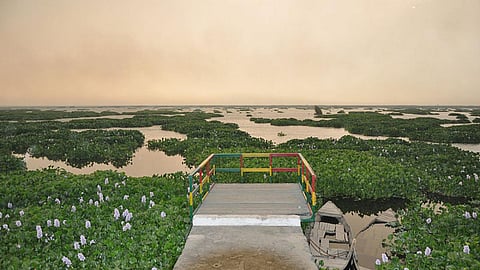 Harike wetland Photo by Jaypee/Wikimedia Commons