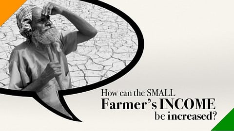 Better strategy needed to increase small farmer's income. (Source: Yogesh Upadhyaya)