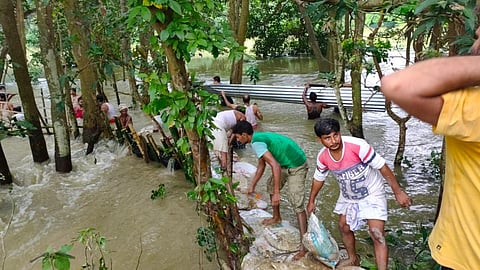 Locals engaged in repair of broken embankment in Darbhanga (Source: Umesh Kumar Ray)