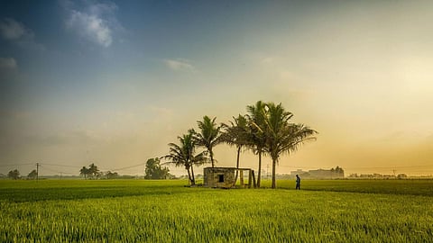 Public investments on water in rainfed areas have much higher social rate of returns (Image: Kannan, Flickr Commons, CC BY-NC-ND 2.0)