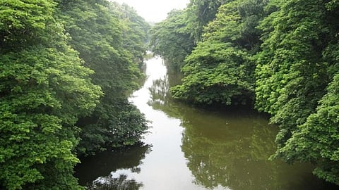 The river Karamana in Thiruvanathapuram, Kerala (Image Source: India Water Portal)