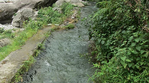 Kuhl, Awa khud, Kandbari (Nivedita Khandekar)