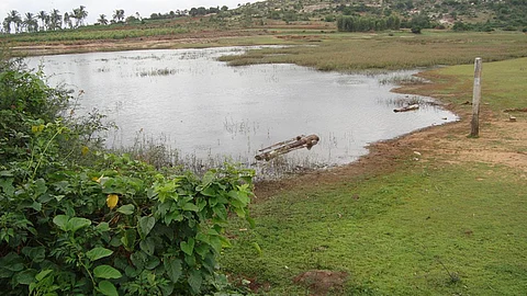 Johads for rainwater harvesting