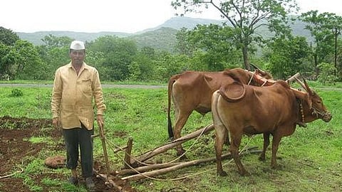Ready to plough his fields