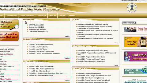 IMIS on MDWS website