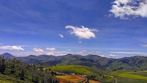 A view of the Nilgiris (Image credits: Golkul Halan)