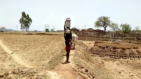 Child walks through the parched field for kilometers to fetch water in peak summer in village Banjari (Image: Reshma Sahoo)