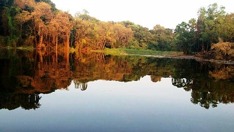 The river Krishna at Wai (Source: Makarand Shende)