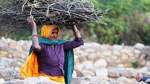 The time-use survey indicates that women are now spending more time on unpaid domestic and care work (Image: Sunita, Pixabay)