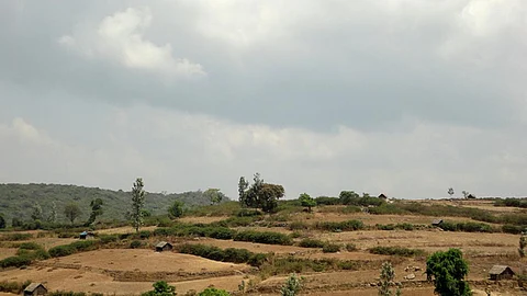 Traditional knowledge of farming
