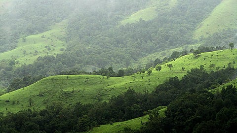 Shola grasslands, Kudremukh National Park, Karnataka (Image Source: Wikimedia Commons)