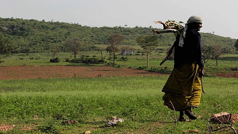 Large population of scheduled caste, and other communities reside in or around protected areas of the basin.