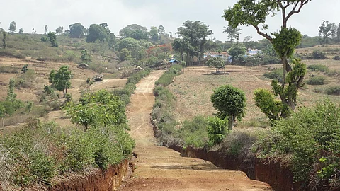 Soil and water conservation
