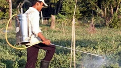 Farmer spraying pesticide (Source: Wikimedia Commons)