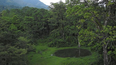 India’s forest cover stands at 21.54 percent while its dense forest cover is about 12.26 percent, as per the State of Forest Report, 2017. (Image: Tridib Choudhury, Wikimedia commons, CC BY SA-4.0)