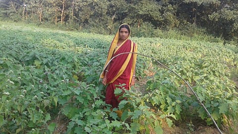 Urmila Mahato at her farm.