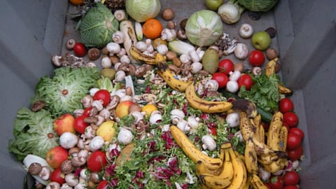 Food wastage also implies wastage of water (Image Source: WOTR)