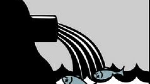 Effluents greatly affect marine life