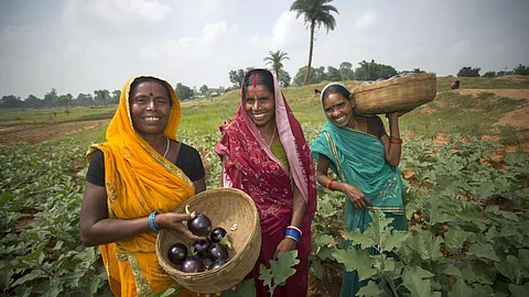 Women farmers produce vegetables through innovative farming practices in Banka, Bihar. They can sell their produce at regional markets, and earn a better income for their families. (Image: USAID, Flickr Commons, CC BY-NC-ND 2.0)