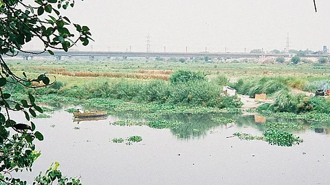 For a river to be healthy & maintain all its associated functions, free flow must be close to 50-60% of the total flow all year round (Source: Wikimedia)