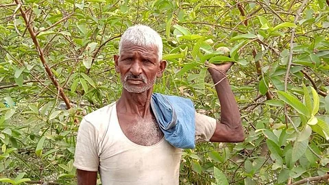 Harinath found a new way of self-reliance by cultivating guava on sand