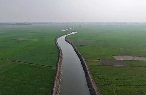 Matuka-river-revival