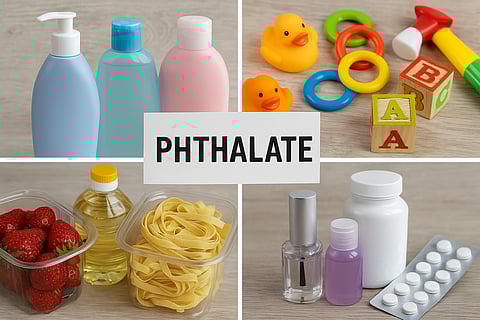 PHTHALATE प्रॉडक्ट