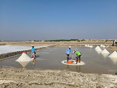 सांभर झील के आसपास जीवन: जल संरक्षण के सामुदायिक प्रयासों से हल हो रहा है जल संकट