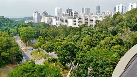 शहरी 'कंक्रीट के जंगल' सुकून की ठंडी बयार जैसे होते हैं अर्बन ग्रीन स्पेस। गर्मी कम करने के साथ ही सेहत के लिए भी होते हैं फायदेमंद।
