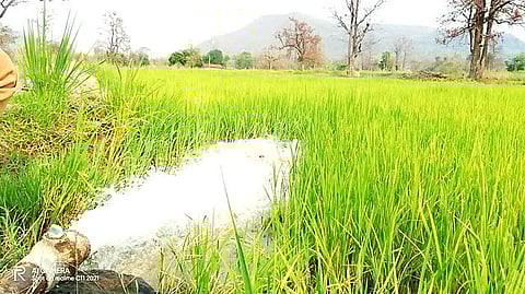 खमढ़ोडगी में सिंचाई क्रांति