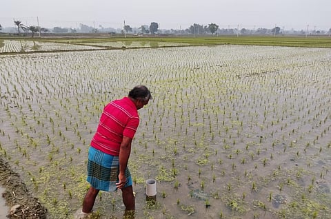 पंजाब के किसानों ने सिंचाई के लिए वैकल्पिक गीला-सूखा (Alternate Wetting and Drying) यानी एडब्लूडी विधि अपनाना शुरू कर दिया है।