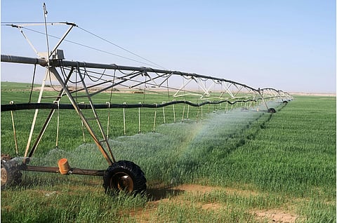 साल 2026 के केंद्रीय बजट में सरकार ने जल संरक्षण को कृषि उत्पादकता और किसानों की आय से सीधे जोड़ने का संकेत दिया है।