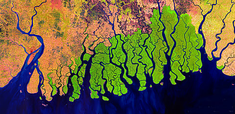 विश्व के सबसे बड़े और सबसे ज़्यादा आबादी वाले डेल्टा क्षेत्रों में गिना जाने वाला भारत और बांग्लादेश में स्थित गंगा का डेल्टा भी धीरे-धीरे डूब रहा है। 