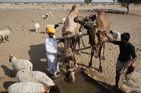 अनुपम मिश्र तर्क देते हैं कि राजस्थान का जल-संकट वास्तव में प्रकृति की असफलता का संकट नहीं है बल्कि यह याददाश्त का संकट है।