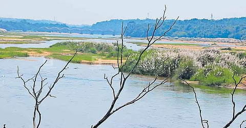 ‘केरल की जीवन-रेखा’ के रूप में जानी जाने वाली भरतपुझा नदी अपने प्राकृतिक सौंदर्य के लिए भी मशहूर है। 