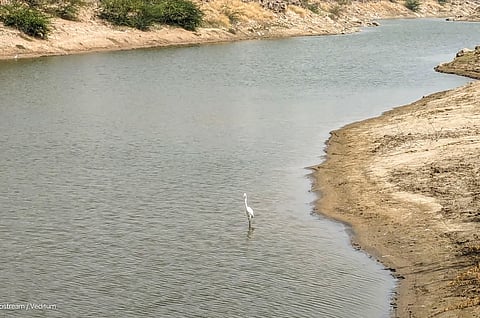 राजस्थान भले ही शुष्क और मरुस्थलीय राज्य माना जाता है, फिर भी यहां अनेक छोटी-बड़ी नदियां बहती हैं जो राज्य के जल संसाधनों, सिंचाई, कृषि और पर्यावरण के लिए अत्यंत महत्वपूर्ण हैं।