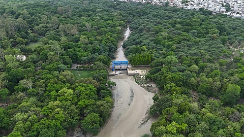 कुकरैल नदी के किनारे सुरक्षित वन क्षेत्र पेड़ों की कटाई और बढ़ते अतिक्रमण व शहरीकरण के कारण खतरे में है। 