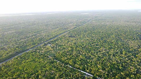 अनुकूलन (Adaptation Meaning in Hindi)