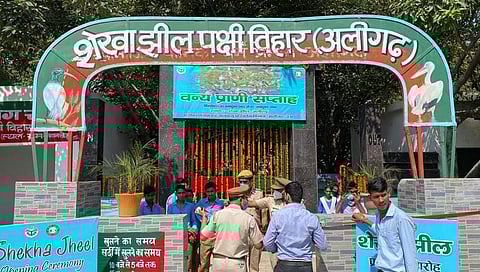 अलीगढ़ के शेखा पक्षी विहार में पर्यटकों का आनाजाना सालभर लगा रहता है। 